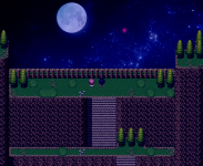 A Red Flower Shining in the Moonlight 4