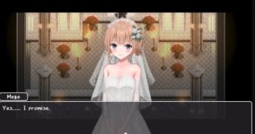 Fallen Bride Mege 3